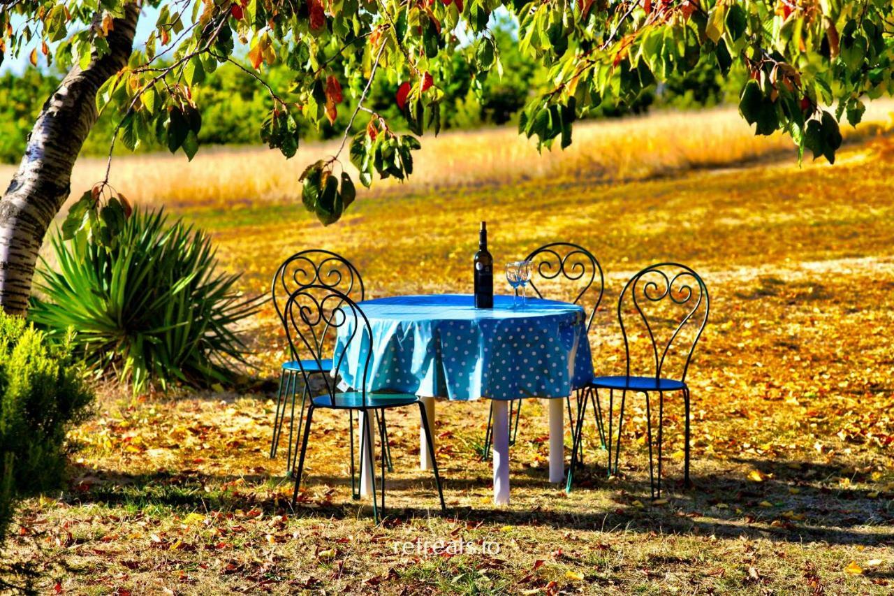 Villa La Colle en Provence Main House à Sigonce Extérieur photo